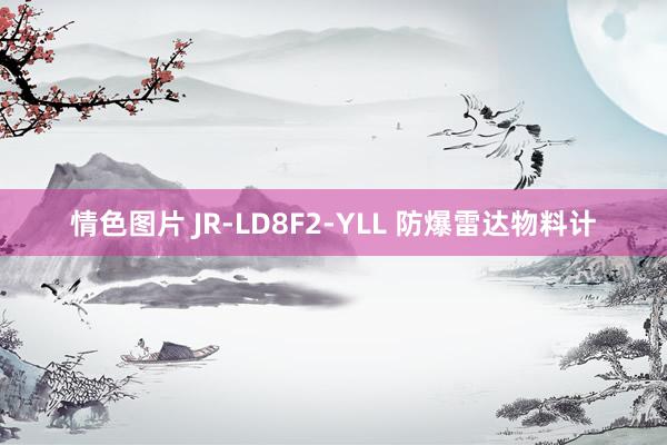 情色图片 JR-LD8F2-YLL 防爆雷达物料计