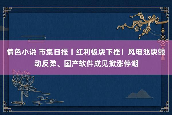 情色小说 市集日报丨红利板块下挫！风电池块颤动反弹、国产软件成见掀涨停潮