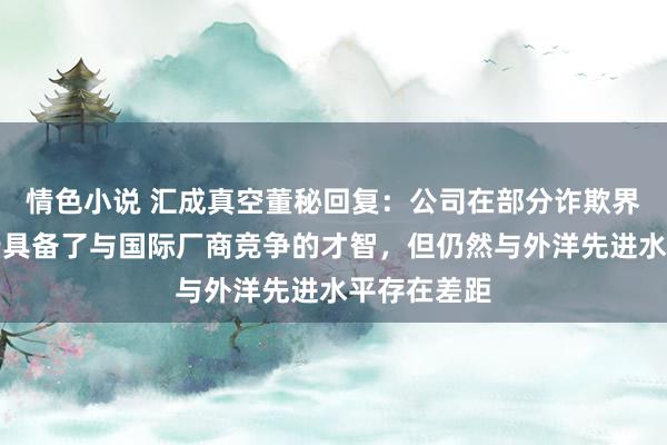 情色小说 汇成真空董秘回复：公司在部分诈欺界限仍是初步具备了与国际厂商竞争的才智，但仍然与外洋先进水平存在差距