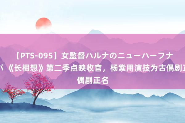 【PTS-095】女監督ハルナのニューハーフナンパ 《长相想》第二季点映收官，杨紫用演技为古偶剧正名