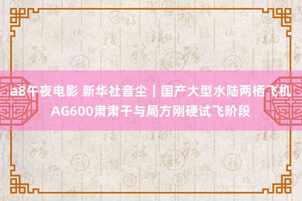 a8午夜电影 新华社音尘｜国产大型水陆两栖飞机AG600肃肃干与局方刚硬试飞阶段