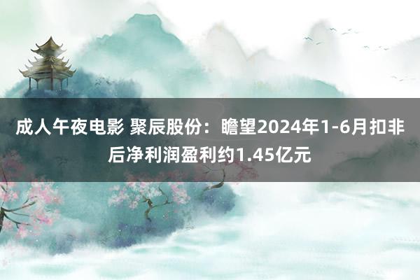 成人午夜电影 聚辰股份：瞻望2024年1-6月扣非后净利润盈利约1.45亿元