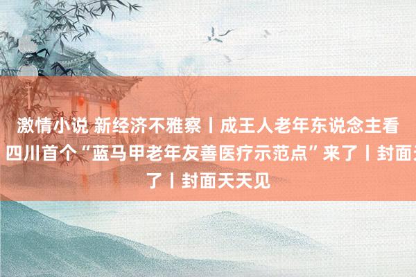 激情小说 新经济不雅察丨成王人老年东说念主看过来：四川首个“蓝马甲老年友善医疗示范点”来了丨封面天天见