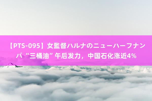 【PTS-095】女監督ハルナのニューハーフナンパ “三桶油”午后发力，中国石化涨近4%