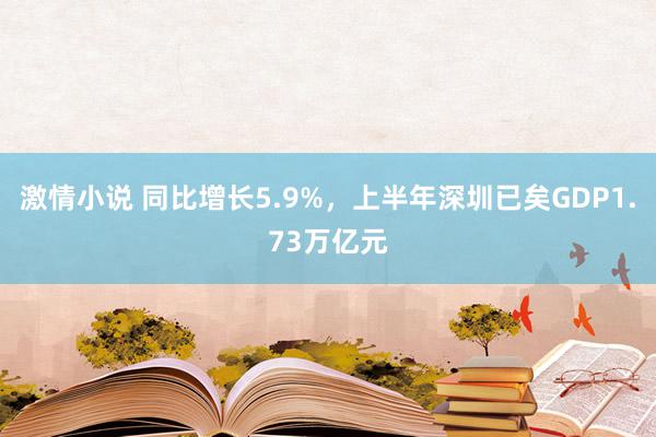 激情小说 同比增长5.9%，上半年深圳已矣GDP1.73万亿元