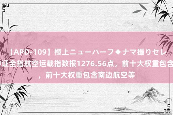 【APD-109】極上ニューハーフ◆ナマ撮りセレクション 中证全指航空运载指数报1276.56点，前十大权重包含南边航空等