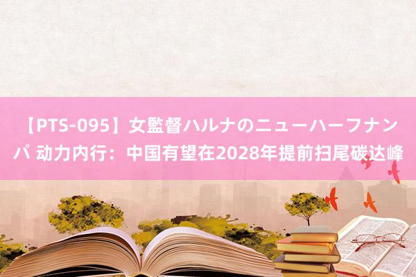 【PTS-095】女監督ハルナのニューハーフナンパ 动力内行：中国有望在2028年提前扫尾碳达峰