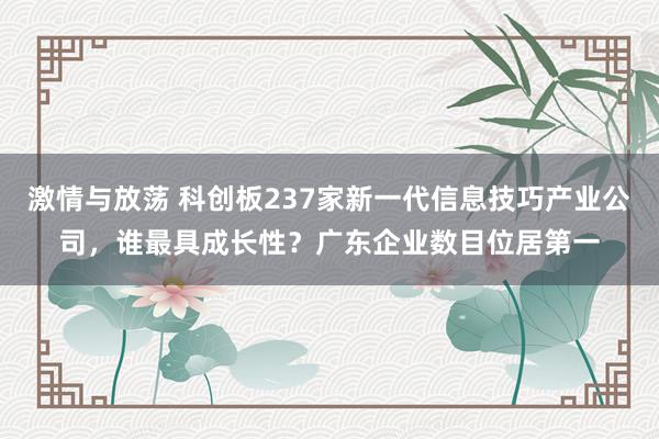 激情与放荡 科创板237家新一代信息技巧产业公司，谁最具成长性？广东企业数目位居第一