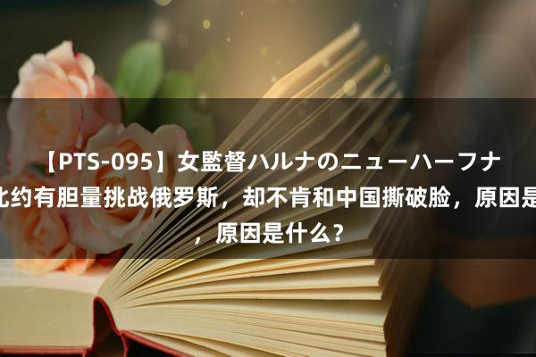 【PTS-095】女監督ハルナのニューハーフナンパ 北约有胆量挑战俄罗斯，却不肯和中国撕破脸，原因是什么？