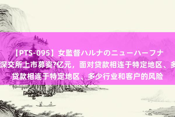 【PTS-095】女監督ハルナのニューハーフナンパ 南海农商银行拟深交所上市募资?亿元，面对贷款相连于特定地区、多少行业和客户的风险