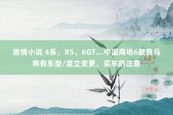 激情小说 4系、X5、6GT...中国商场6款良马将有车型/竖立变更，买车的注意