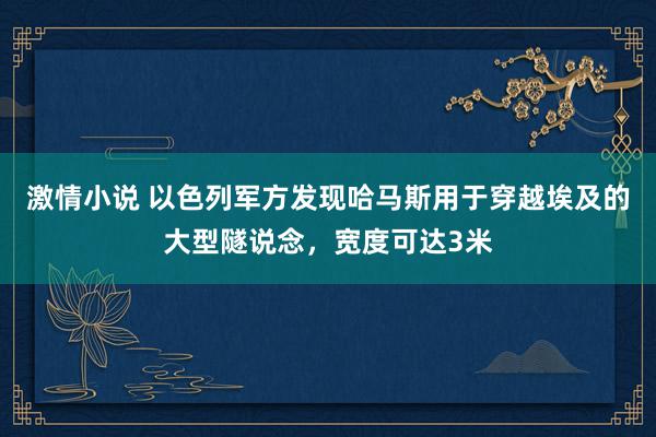 激情小说 以色列军方发现哈马斯用于穿越埃及的大型隧说念，宽度可达3米