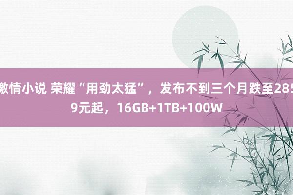 激情小说 荣耀“用劲太猛”，发布不到三个月跌至2859元起，16GB+1TB+100W