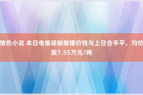 情色小说 本日电板级碳酸锂价钱与上日合手平，均价报7.55万元/吨