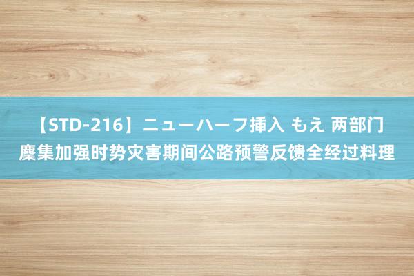 【STD-216】ニューハーフ挿入 もえ 两部门麇集加强时势灾害期间公路预警反馈全经过料理