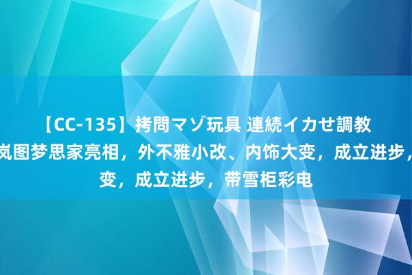 【CC-135】拷問マゾ玩具 連続イカせ調教 ひなの 新款岚图梦思家亮相，外不雅小改、内饰大变，成立进步，带雪柜彩电