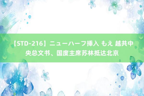 【STD-216】ニューハーフ挿入 もえ 越共中央总文书、国度主席苏林抵达北京