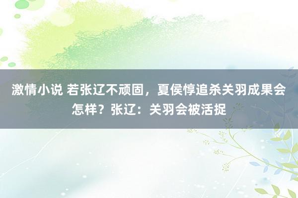 激情小说 若张辽不顽固，夏侯惇追杀关羽成果会怎样？张辽：关羽会被活捉