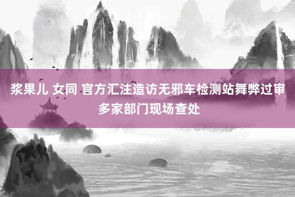 浆果儿 女同 官方汇注造访无邪车检测站舞弊过审 多家部门现场查处