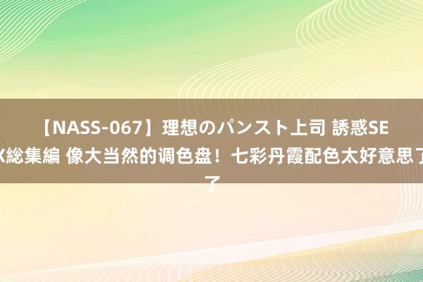 【NASS-067】理想のパンスト上司 誘惑SEX総集編 像大当然的调色盘！七彩丹霞配色太好意思了