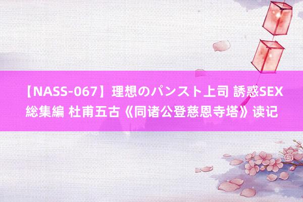 【NASS-067】理想のパンスト上司 誘惑SEX総集編 杜甫五古《同诸公登慈恩寺塔》读记